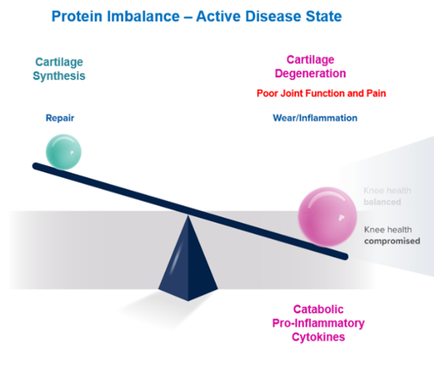 Protein Imbalance